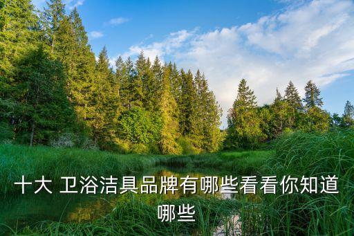 十大 衛(wèi)浴潔具品牌有哪些看看你知道哪些