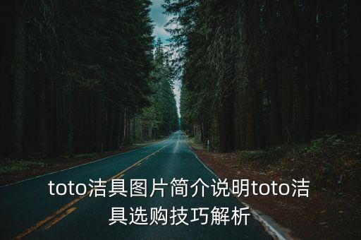 toto潔具圖片簡介說明toto潔具選購技巧解析