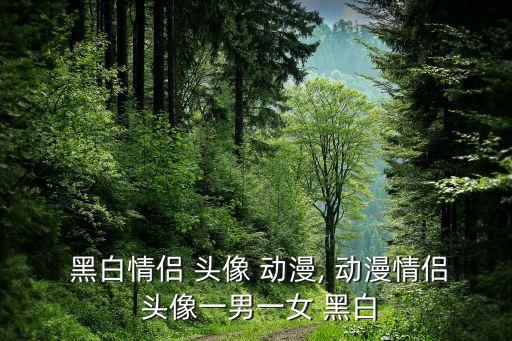 黑白情侶 頭像 動(dòng)漫, 動(dòng)漫情侶 頭像一男一女 黑白