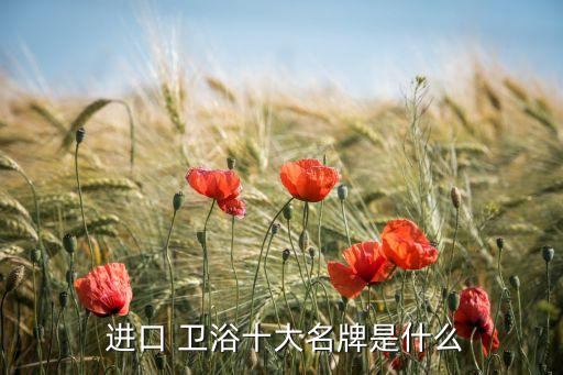  進(jìn)口 衛(wèi)浴十大名牌是什么