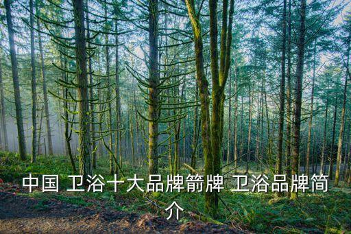 中國(guó) 衛(wèi)浴十大品牌箭牌 衛(wèi)浴品牌簡(jiǎn)介