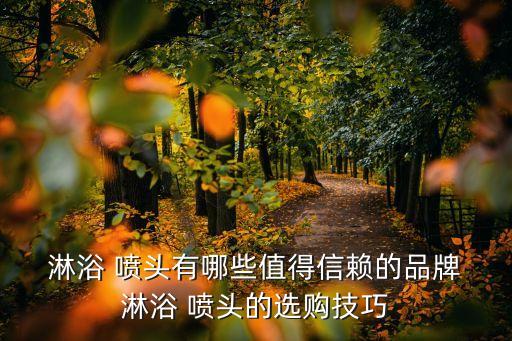 淋浴 噴頭有哪些值得信賴的品牌 淋浴 噴頭的選購技巧