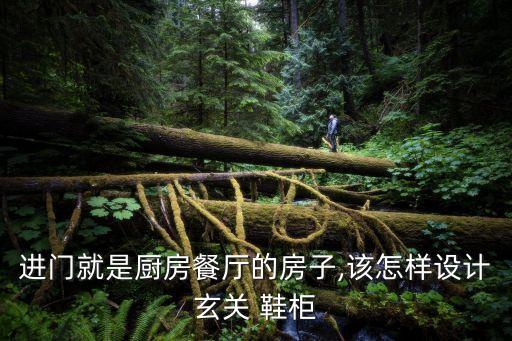 進(jìn)門(mén)就是廚房餐廳的房子,該怎樣設(shè)計(jì)玄關(guān) 鞋柜