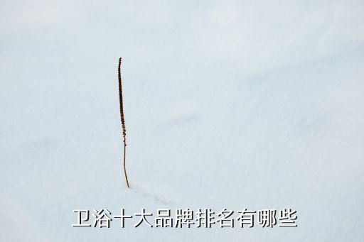  衛(wèi)浴十大品牌排名有哪些