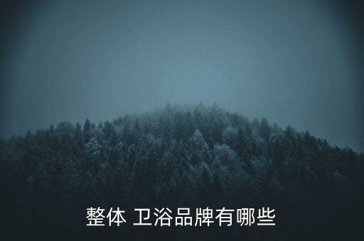 整體 衛(wèi)浴品牌有哪些