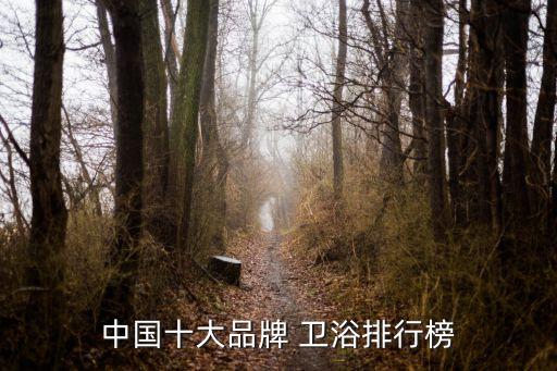 中國十大品牌 衛(wèi)浴排行榜