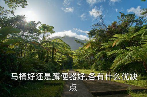  馬桶好還是蹲便器好,各有什么優(yōu)缺點