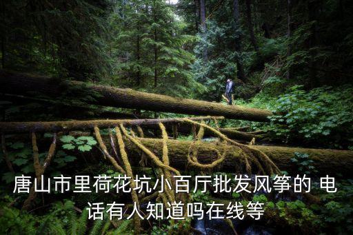 唐山市里荷花坑小百?gòu)d批發(fā)風(fēng)箏的 電話有人知道嗎在線等