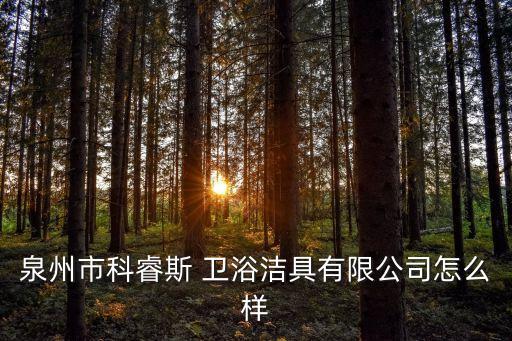 泉州市科睿斯 衛(wèi)浴潔具有限公司怎么樣