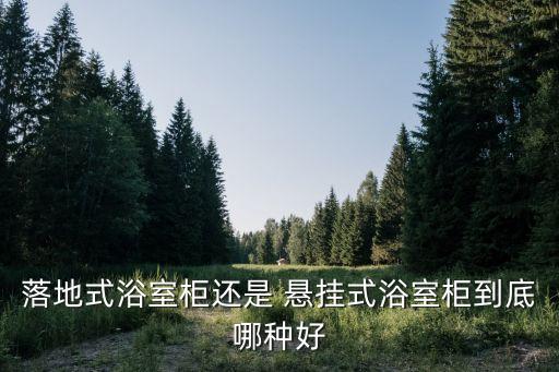 落地式浴室柜還是 懸掛式浴室柜到底哪種好