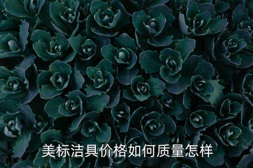  美標(biāo)潔具價(jià)格如何質(zhì)量怎樣