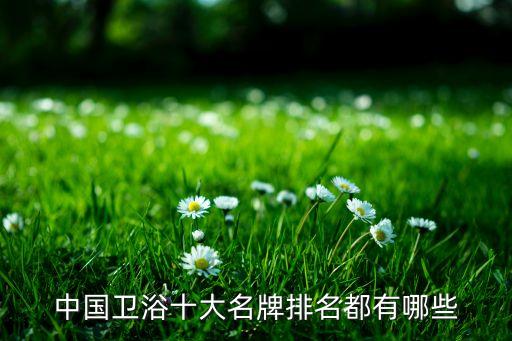 中國衛(wèi)浴十大名牌排名都有哪些
