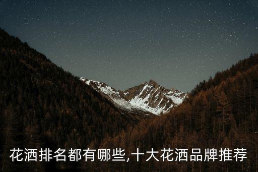 花灑排名都有哪些,十大花灑品牌推薦