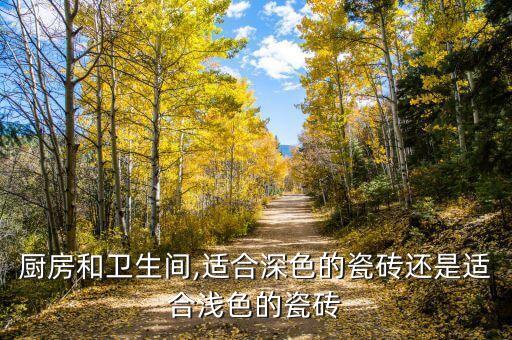 美式衛(wèi)浴小磚圖片