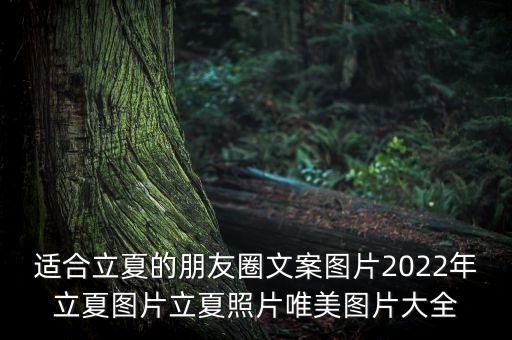 適合立夏的朋友圈文案圖片2022年立夏圖片立夏照片唯美圖片大全