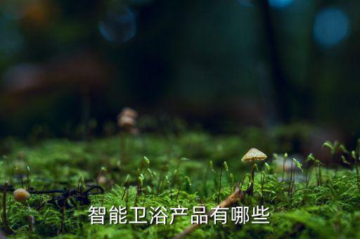 智能衛(wèi)浴產(chǎn)品有哪些