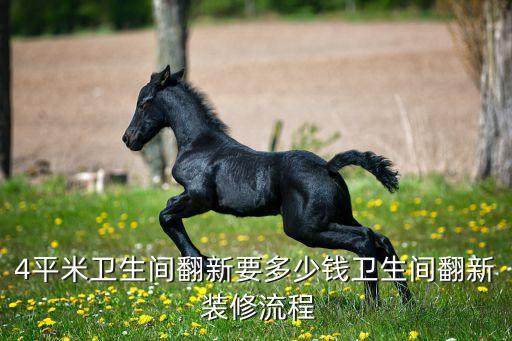 4平米衛(wèi)生間翻新要多少錢(qián)衛(wèi)生間翻新 裝修流程