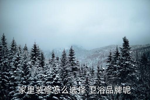 家里裝修怎么選擇 衛(wèi)浴品牌呢