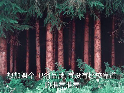 想加盟個(gè) 衛(wèi)浴品牌,有沒(méi)有比較靠譜的推薦推薦