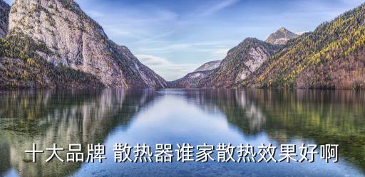 十大品牌 散熱器誰(shuí)家散熱效果好啊