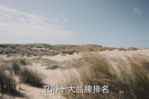 哪個(gè)品牌陶瓷衛(wèi)浴好些,中國(guó)陶瓷衛(wèi)浴十大品牌中潔網(wǎng)