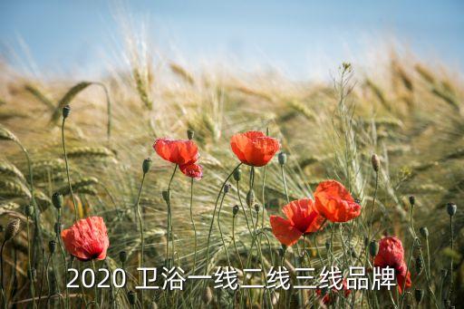 2020 衛(wèi)浴一線二線三線品牌