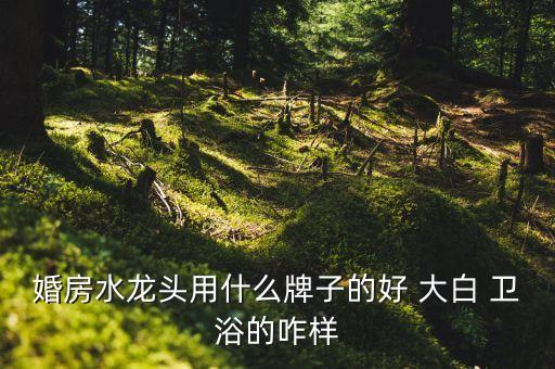 大白衛(wèi)浴品牌設(shè)計(jì)圖紙
