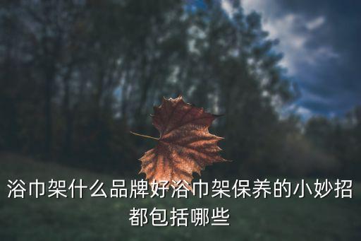 雅鼎衛(wèi)浴收納推薦圖片大全