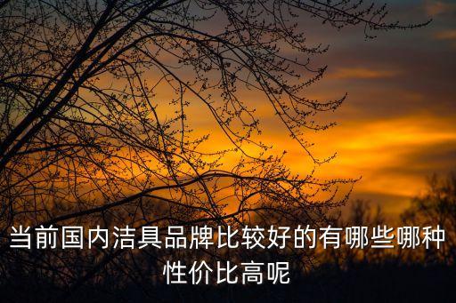 當(dāng)前國內(nèi)潔具品牌比較好的有哪些哪種性價比高呢