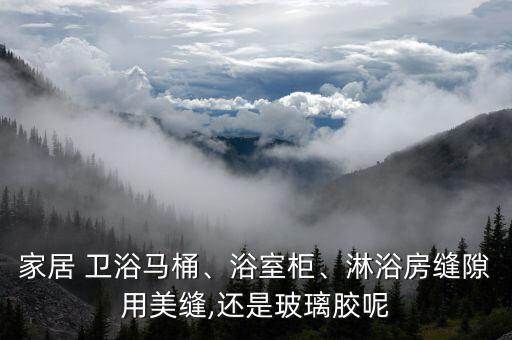 家居 衛(wèi)浴馬桶、浴室柜、淋浴房縫隙用美縫,還是玻璃膠呢