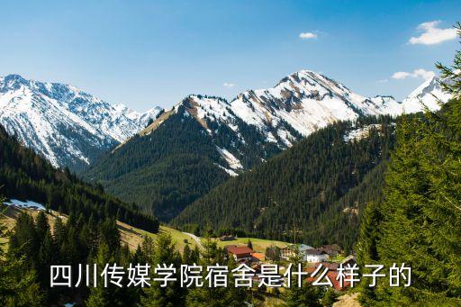 獨(dú)立衛(wèi)浴寢室平面圖片,寢室有獨(dú)立衛(wèi)浴的大學(xué)有哪些?