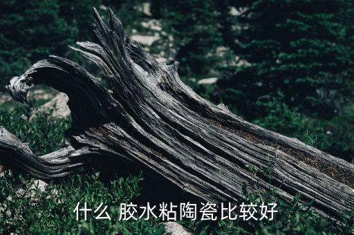 梅州衛(wèi)浴專用膠水品牌