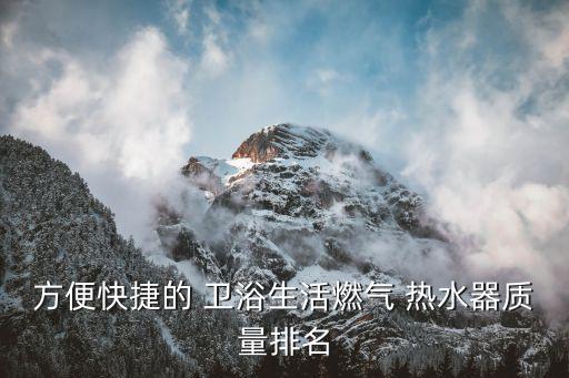 方便快捷的 衛(wèi)浴生活燃?xì)?熱水器質(zhì)量排名