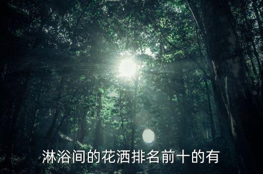 淋浴間的花灑排名前十的有