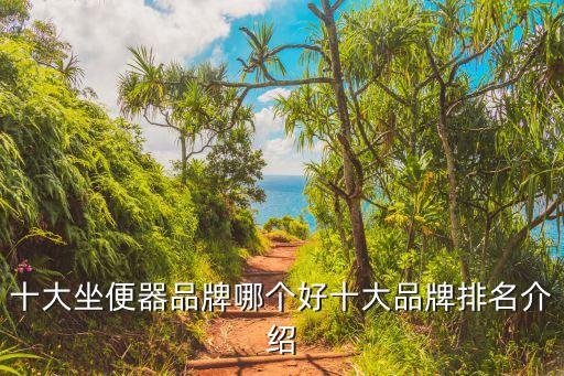 衛(wèi)浴馬桶推薦品牌平價(jià)歐式,馬桶衛(wèi)浴怎么選