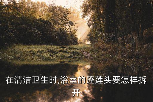 拆解衛(wèi)浴花灑圖片大全大圖,衛(wèi)浴花灑配件大全圖片