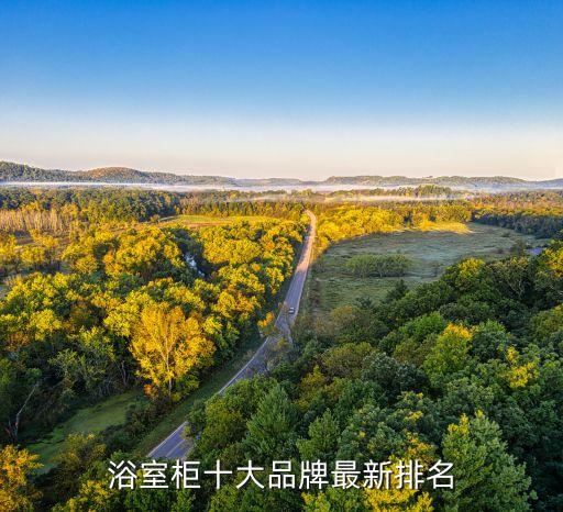 浴室柜十大品牌最新排名