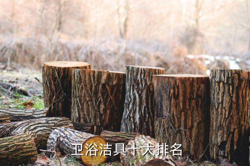  衛(wèi)浴潔具十大排名