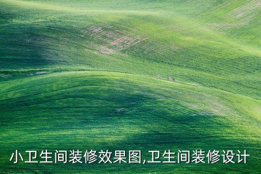 小衛(wèi)生間裝修效果圖,衛(wèi)生間裝修設(shè)計(jì)