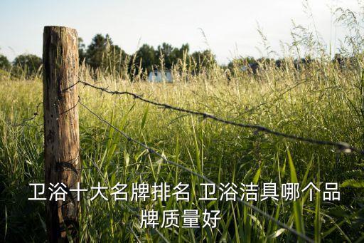  衛(wèi)浴十大名牌排名 衛(wèi)浴潔具哪個(gè)品牌質(zhì)量好