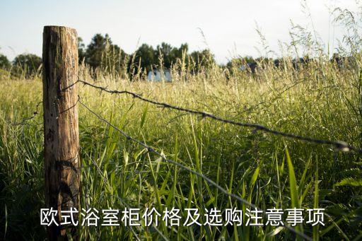  歐式浴室柜價格及選購注意事項
