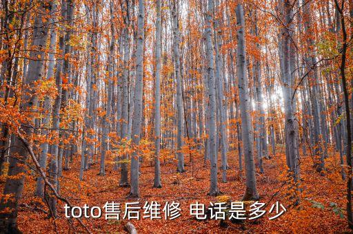 toto售后維修 電話是多少