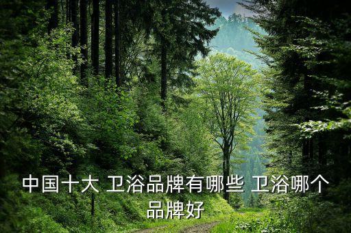 國內(nèi)的衛(wèi)浴五金什么品牌好用,國內(nèi)衛(wèi)浴五金品牌排行榜前十名