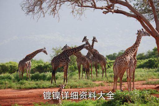 鍍鎳詳細資料大全