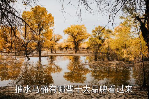 抽水馬桶有哪些十大品牌看過(guò)來(lái)