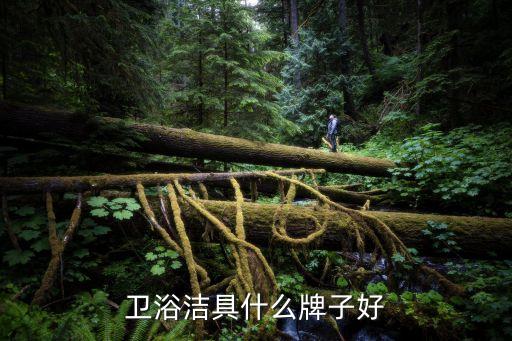 湖南安華衛(wèi)浴電話(huà),安華衛(wèi)浴400電話(huà)