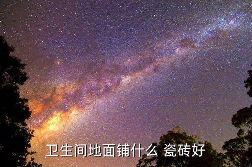 衛(wèi)生間地面鋪什么 瓷磚好