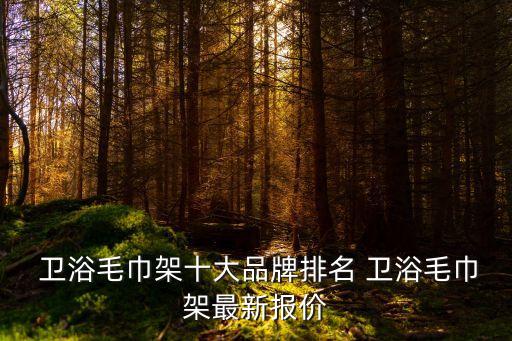 免打孔衛(wèi)浴五金品牌,衛(wèi)浴免打孔的質(zhì)量怎么樣