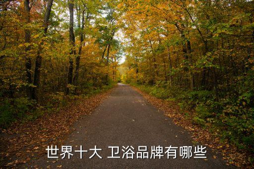 世界十大 衛(wèi)浴品牌有哪些