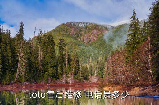 toto售后維修 電話是多少
